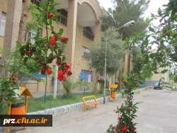 ارسال تصاویر
