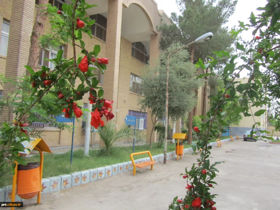 ارسال تصاویر