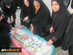 اروی حیات طیبه