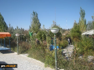 اقدامات انجام شده در روز دانشجو