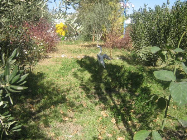 اقدامات انجام شده در روز دانشجو 7