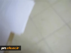 فعالیت های واحد مشاوره 18