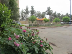 پردیس رسالت در یک نگاه 6