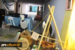 همایش و نمایشگاه زیست بوم من  در نگاه تصویر 30