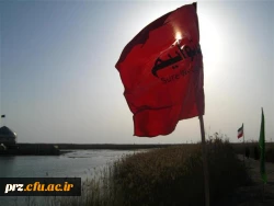 گزارش تصویری از اردوی راهیان نور دانشجویان پردیس رسالت 4