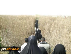 گزارش تصویری از اردوی راهیان نور دانشجویان پردیس رسالت 12