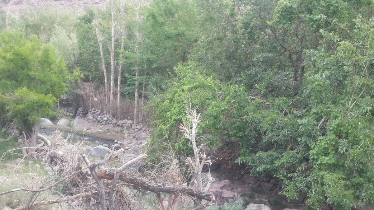 اردوی یک روزه دانشجویان به تمین 2