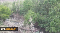 اردوی یک روزه دانشجویان به تمین 2