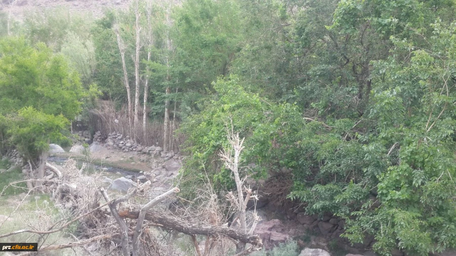 اردوی یک روزه دانشجویان به تمین 2