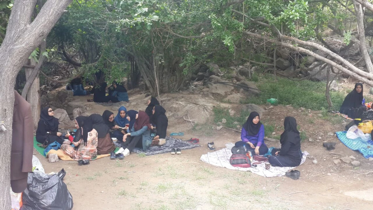 اردوی یک روزه دانشجویان به تمین 4