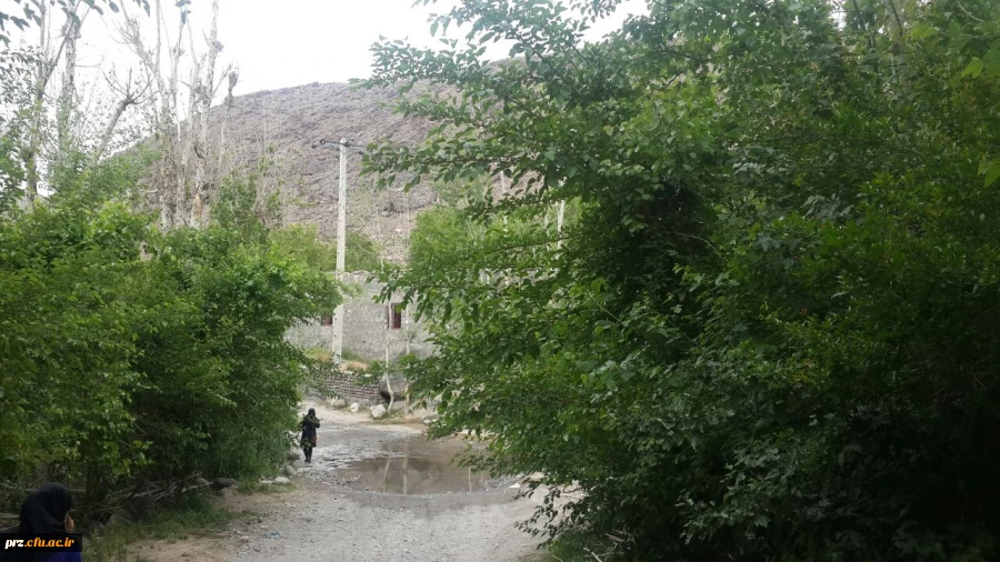 اردوی یک روزه دانشجویان به تمین 5