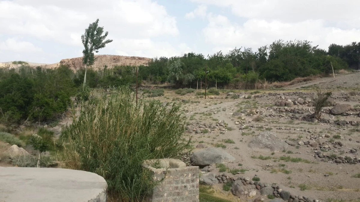 اردوی یک روزه دانشجویان به تمین 6