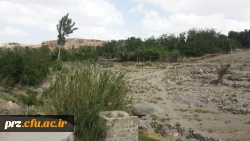 اردوی یک روزه دانشجویان به تمین 6