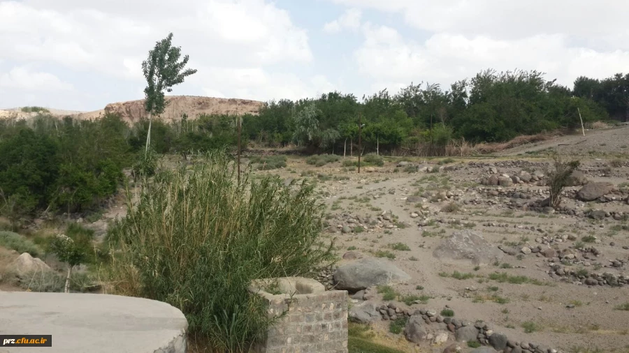 اردوی یک روزه دانشجویان به تمین 6