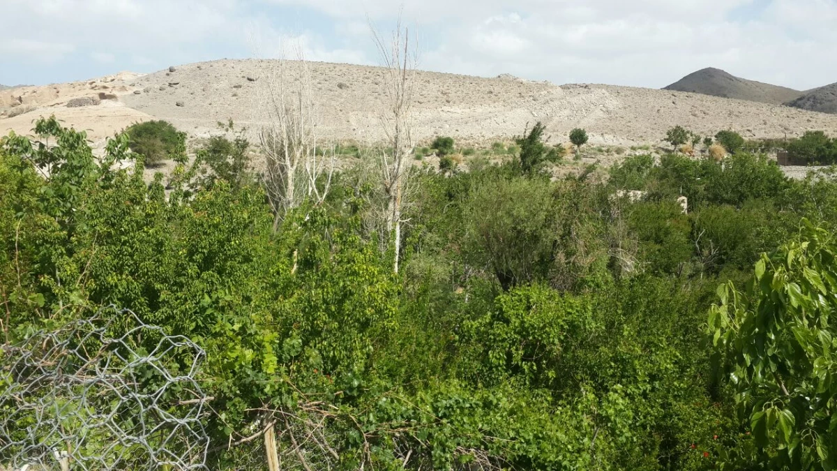 اردوی یک روزه دانشجویان به تمین 7