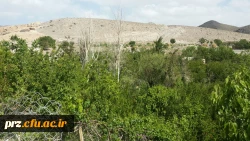 اردوی یک روزه دانشجویان به تمین 7