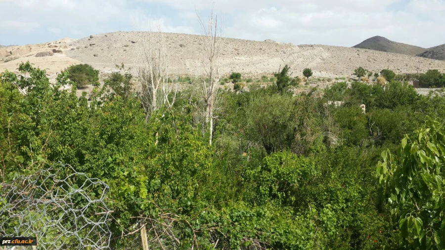 اردوی یک روزه دانشجویان به تمین 7