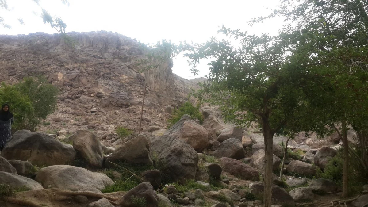 اردوی یک روزه دانشجویان به تمین 8