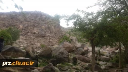 اردوی یک روزه دانشجویان به تمین 8