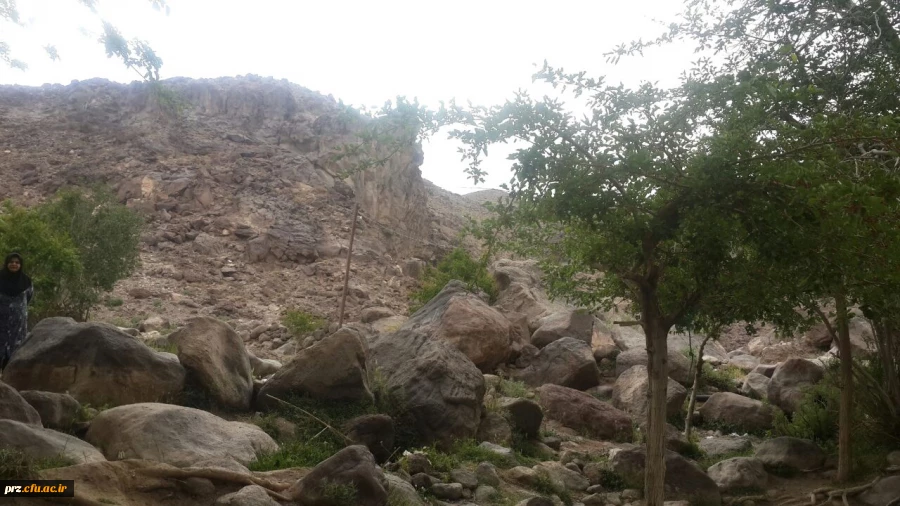 اردوی یک روزه دانشجویان به تمین 8