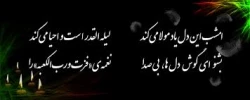 در ظلمت شب نور جلی راکشتند            سرچشمه فیض ازلی  را کشتند 
جبریل امین گفت به آواز جلی                از فرط عدالتش علی را کشتند