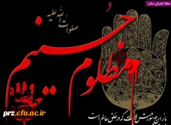 پرسیدم: از حلال ماه چرا قامتت خم است ؟       آهی کشید وگفت :که ماه محرم است 
گفتم : که چیست محرم ؟                        با ناله گفت :ماه عزای اشرف اولاد آدم است