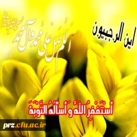 ماه رجب، ماهِ نزول رحمت الهى و ماهِ مولودِ کعبه(ع) مبارک باد

 2