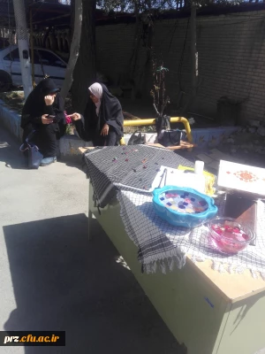 اعزام دانشجو یان پردیس رسالت به اردوی راهیان نور