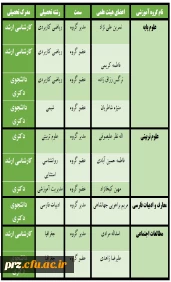 هیئت علمی