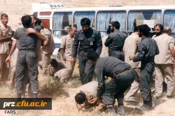 پیام تبریک